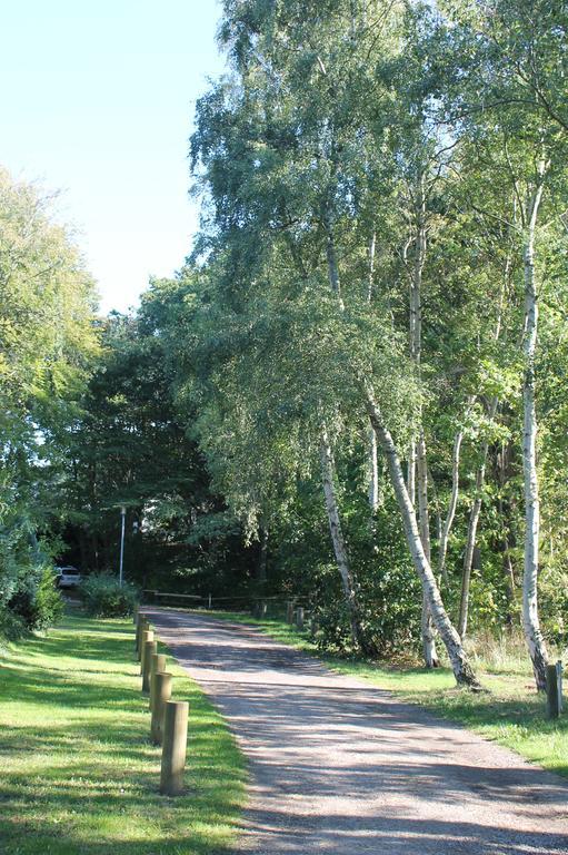 Haus Strandgut Ahrenshoop Kültér fotó